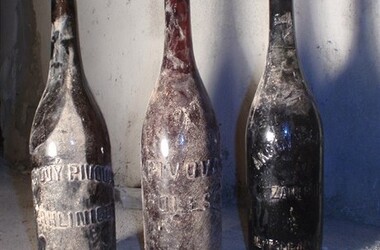 ONS5a6dc8_100_let_stare_pivo