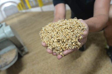 RAS5c29a2_1562015Zhlinicesladovna14